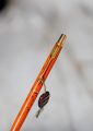 STYLO BILLE PARKER JOTTER LAQUE JASPER RED & PL. OR 18 CARATS - RARE – Image 2