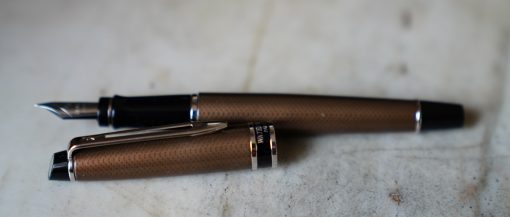 STYLO PLUME WATERMAN EXPERT EN METAL LAQUE BRUNE POINTILLEE - PLUME M + ETUI